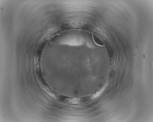 X0000088400182200705221132