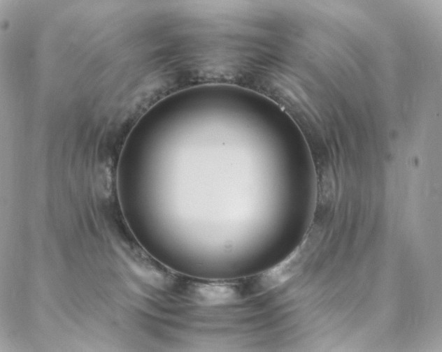 X0000088400183200705221132