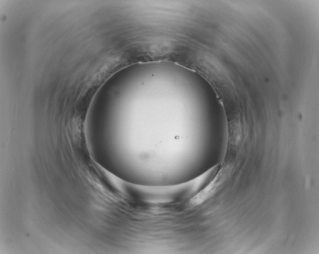 X0000088400184200705221132