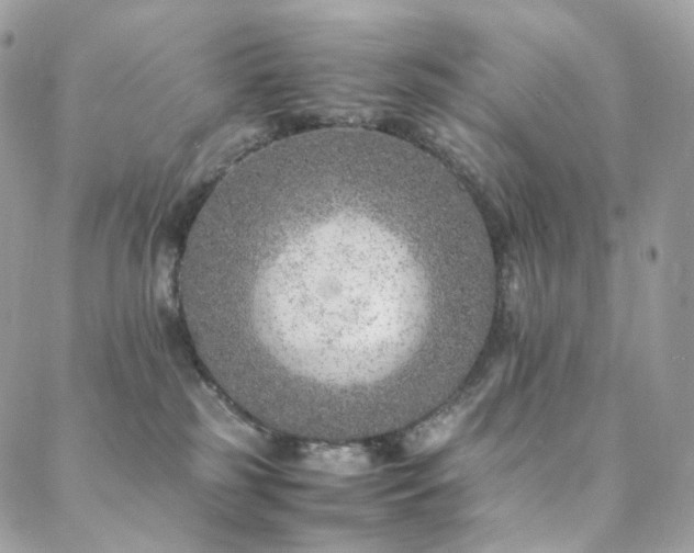 X0000088400185200705221132