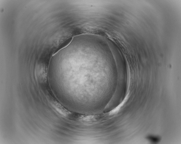 X0000088400186200705221132