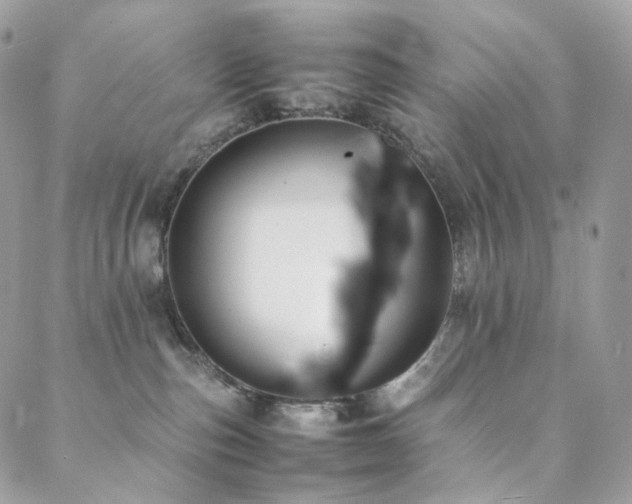 X0000088400187200705221132