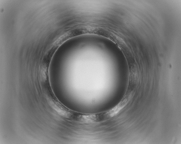 X0000088400188200705221132