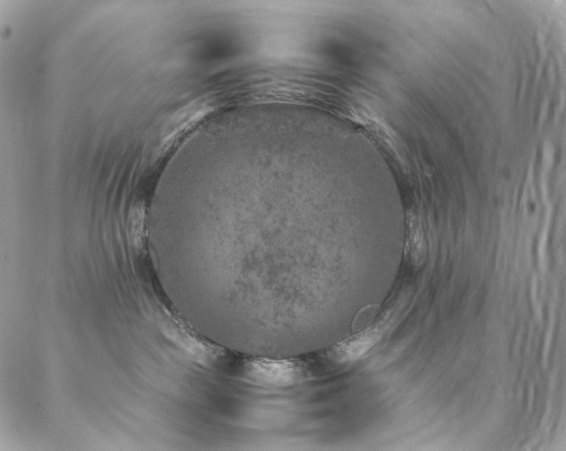 X0000088400189200705221132