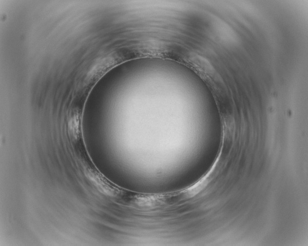 X0000088400190200705221132