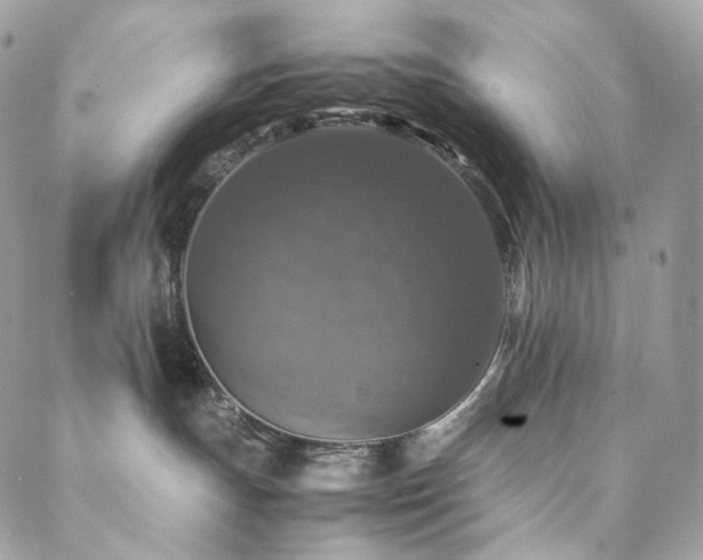 X0000088400191200705221132