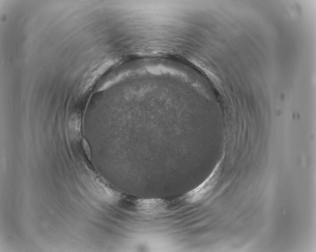 X0000088400192200705221132