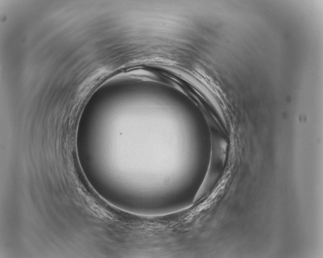 X0000088400193200705221131