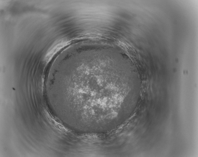 X0000088400194200705221131