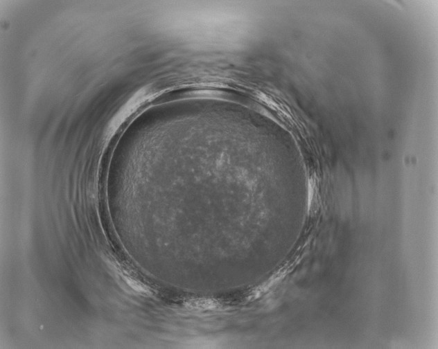 X0000088400195200705221131