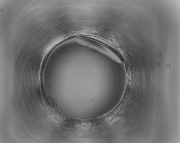 X0000088400196200705221131