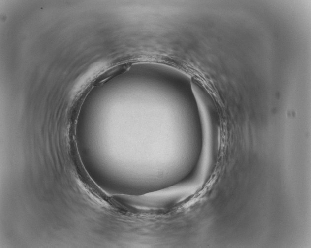 X0000088400197200705221131