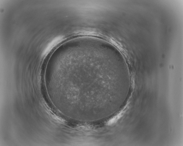 X0000088400199200705221131