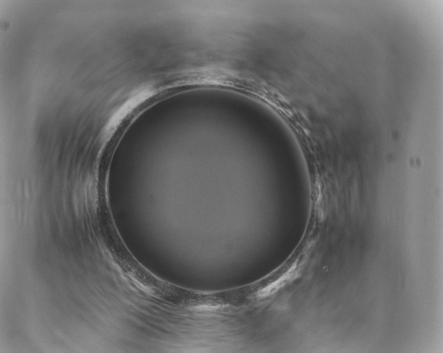 X0000088400200200705221131