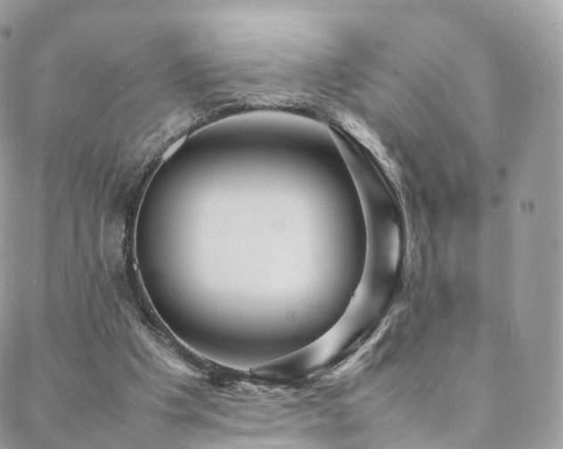 X0000088400201200705221131