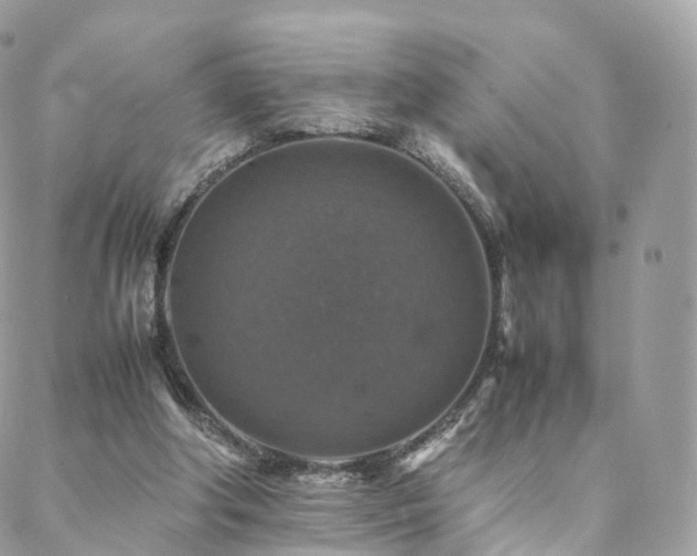 X0000088400202200705221131