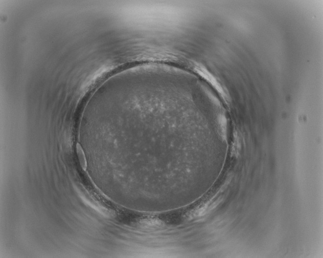 X0000088400203200705221131