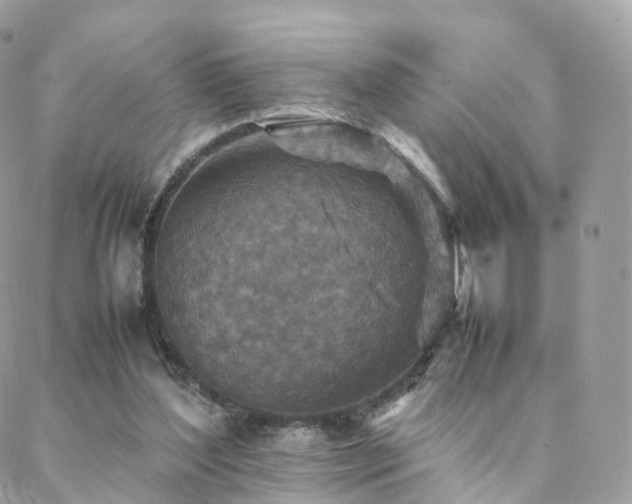 X0000088400204200705221131