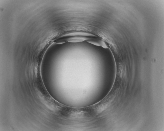 X0000088400206200705221131