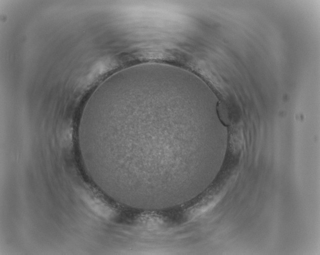 X0000088400207200705221131