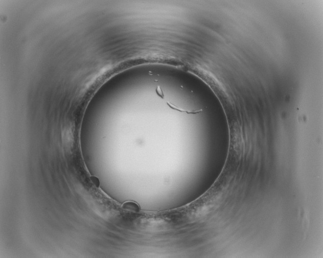 X0000088400208200705221131