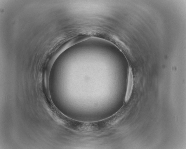 X0000088400209200705221131