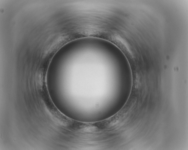 X0000088400210200705221131