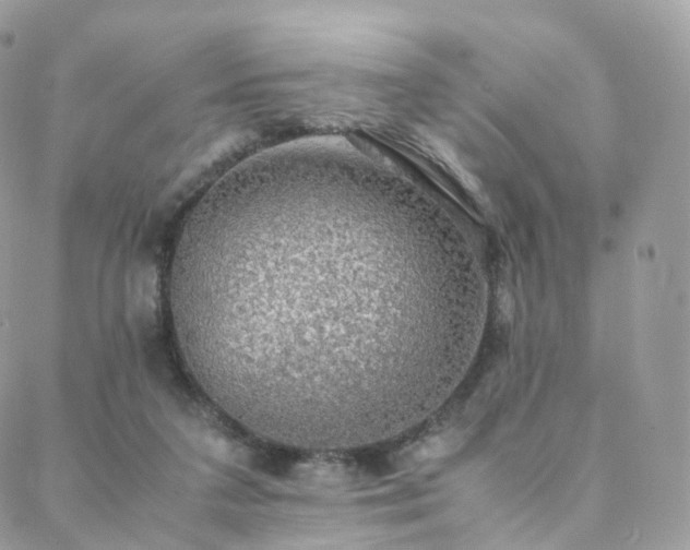 X0000088400211200705221131