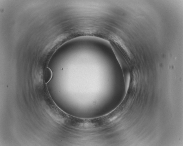 X0000088400212200705221131