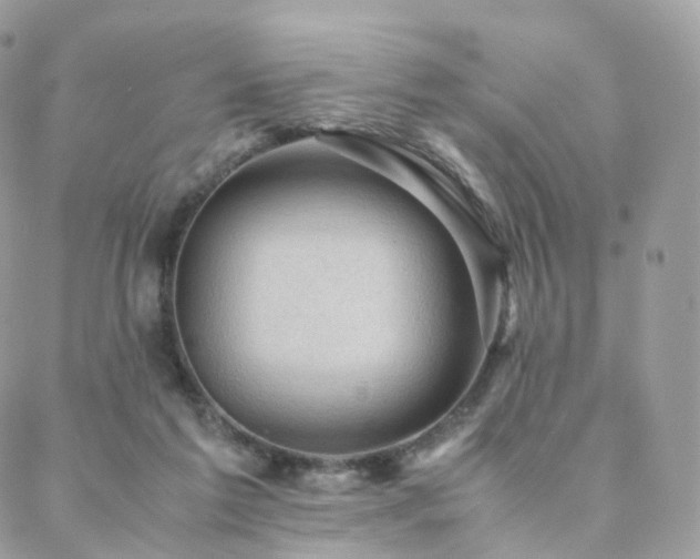 X0000088400213200705221131