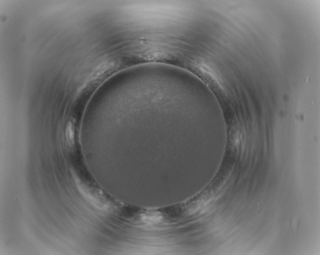 X0000088400214200705221131