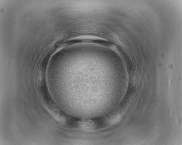 X0000088400215200705221131