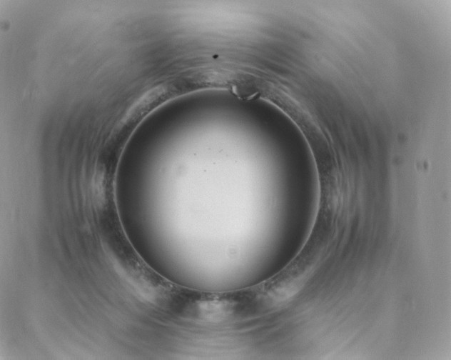 X0000088400216200705221131