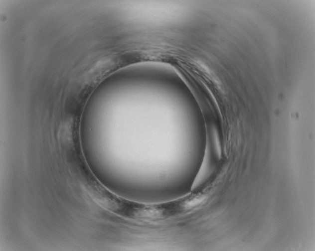 X0000088400217200705221131