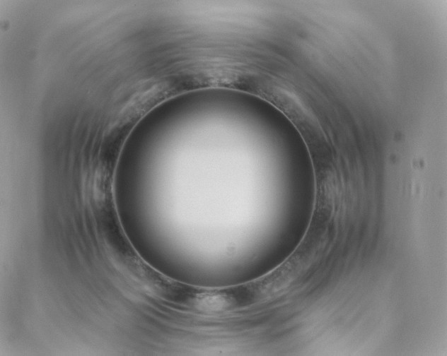 X0000088400218200705221131