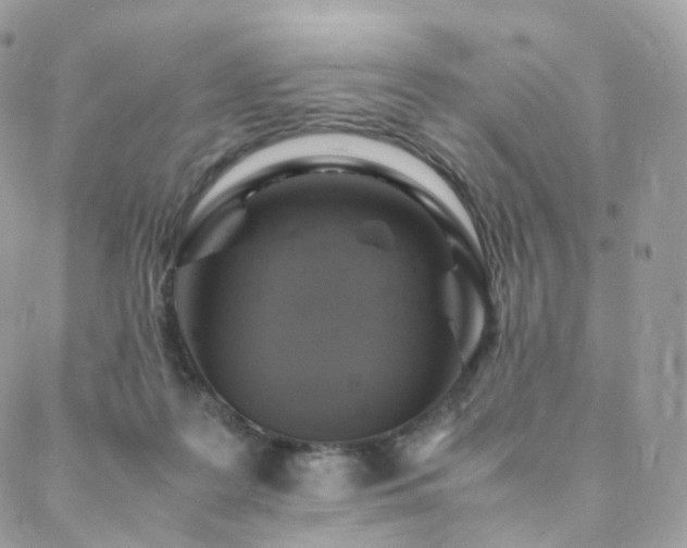 X0000088400219200705221131