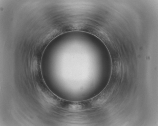 X0000088400220200705221131