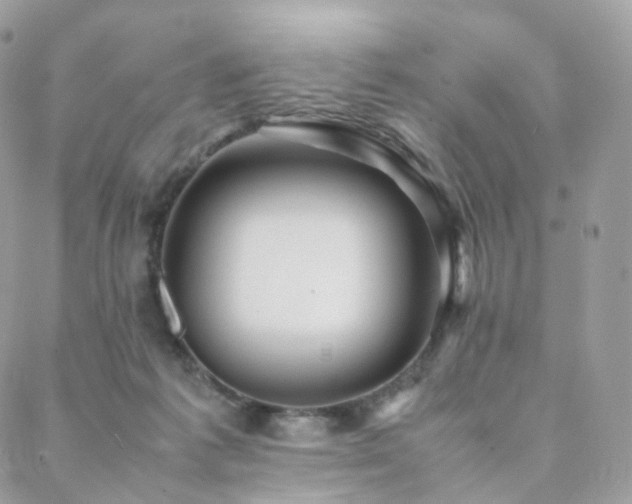 X0000088400221200705221131