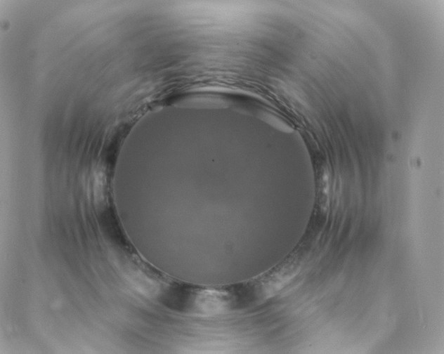 X0000088400222200705221131