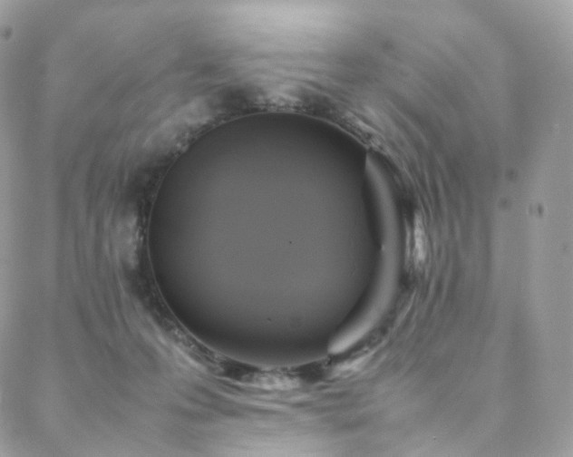 X0000088400223200705221131