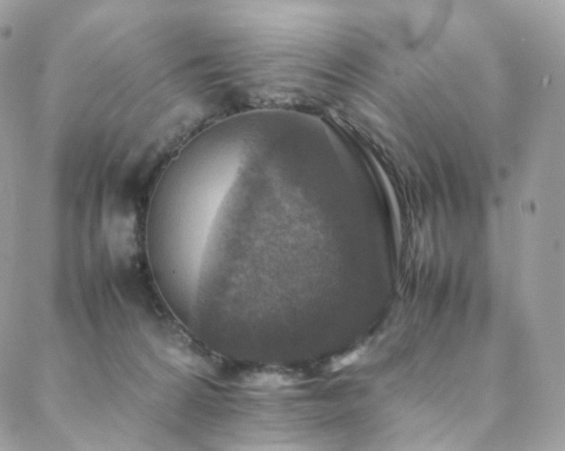 X0000088400224200705221131