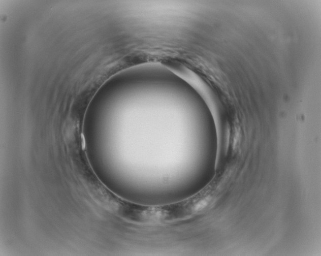 X0000088400225200705221131