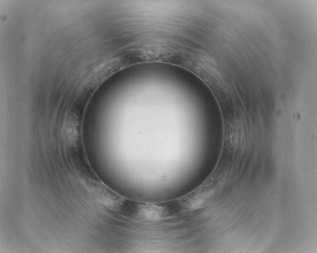 X0000088400226200705221131