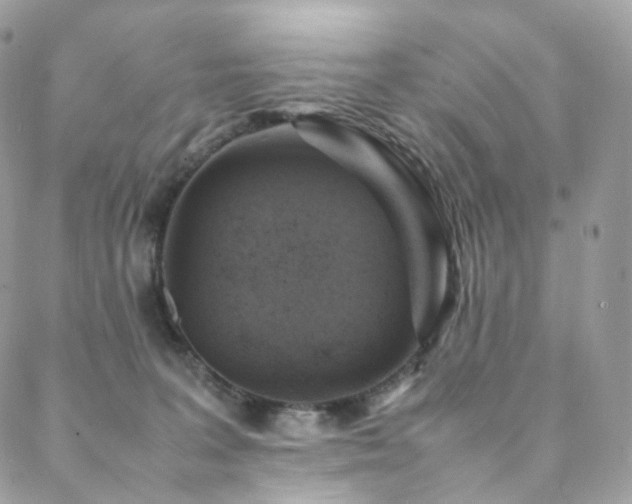 X0000088400227200705221131