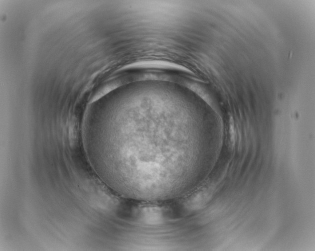 X0000088400228200705221131