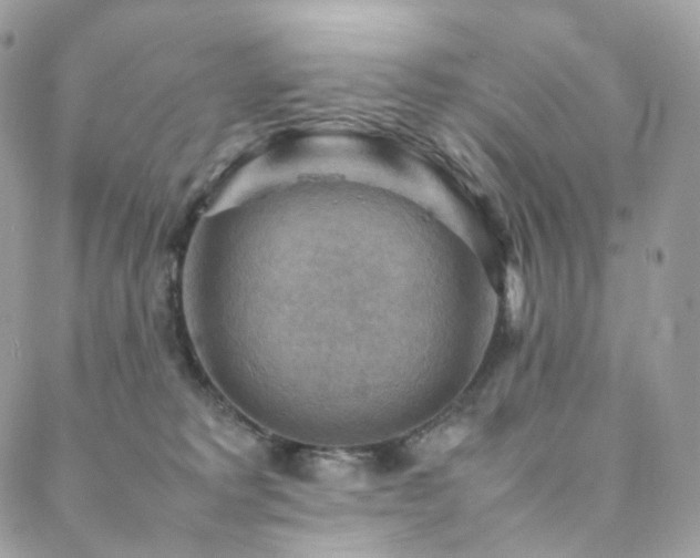 X0000088400229200705221131