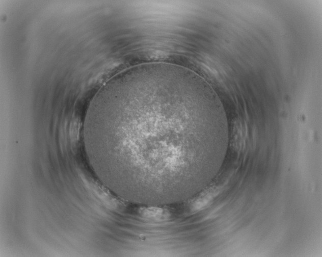 X0000088400230200705221131