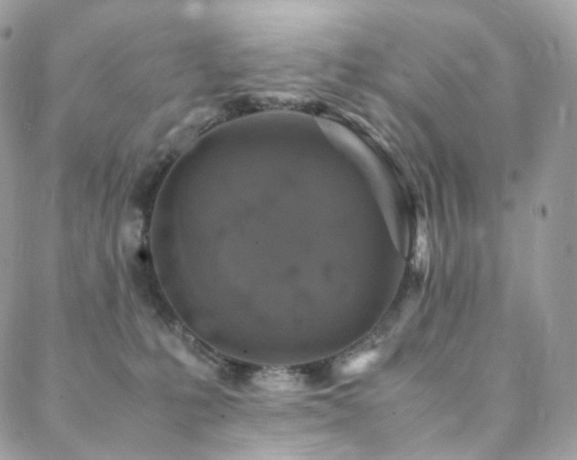 X0000088400231200705221131