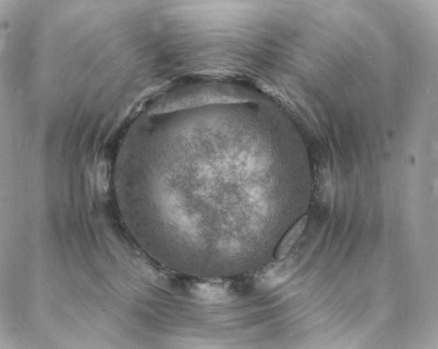 X0000088400232200705221131