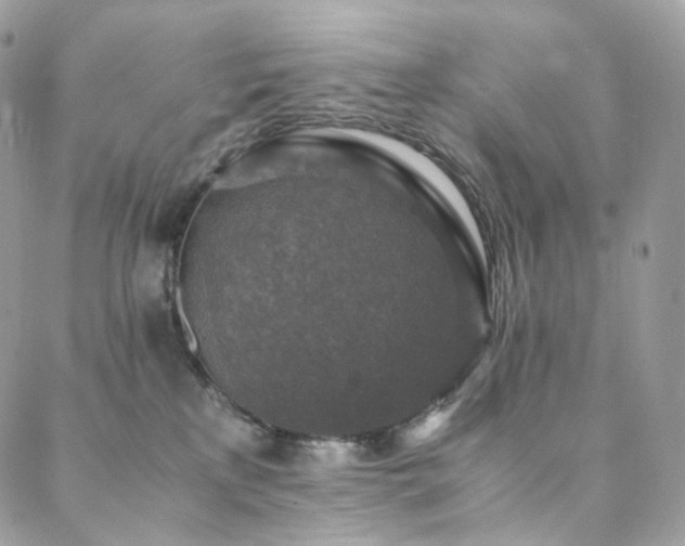 X0000088400233200705221131